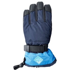Hestra Black and Blue Winter Gloves